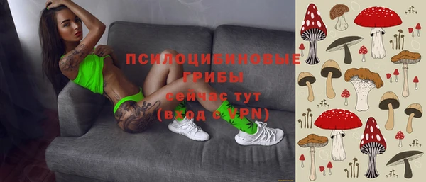хмурый Каменск-Шахтинский