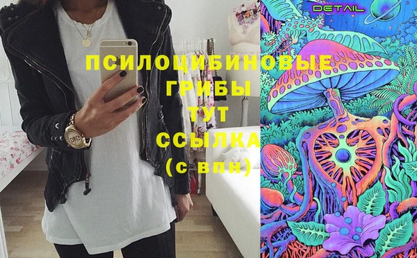 герыч Каменка