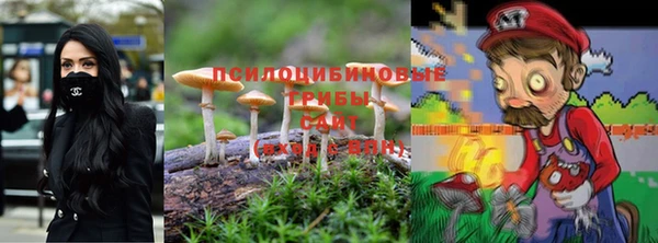 хмурый Каменск-Шахтинский