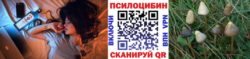 Псилоцибиновые грибы Psilocybine cubensis  KRAKEN tor  Саратов 