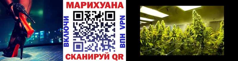 Бошки Шишки ГИДРОПОН  купить   Саратов 